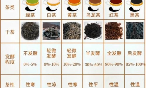 大青叶外用治什么病-大青叶粉洗面的功效网—知名的大青叶洗脸的作用与功效网站,分享大青叶粉洗面的功效和作用知识