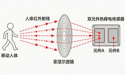大青叶外用对皮肤病有用吗-大青叶粉洗面的功效网—知名的大青叶洗脸的作用与功效网站,分享大青叶粉洗面的功效和作用知识
